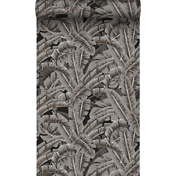 papier peint feuilles de palmier gris foncé