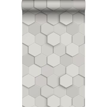 papier peint hexagone 3d gris clair