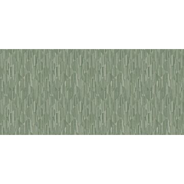 papier peint panoramique imitation bois en 3D vert grisé